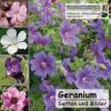 Cover Geranium CD