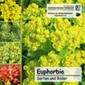 Cover EuphorbiaCD